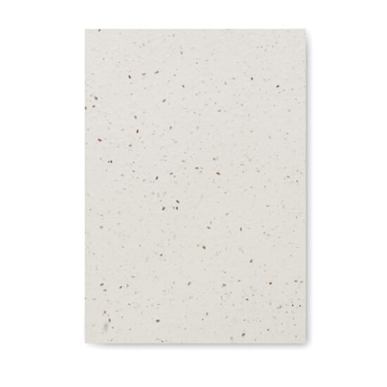SEED BOOK - Bilde 3
