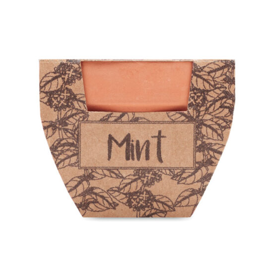 MINT POT - Bilde 2