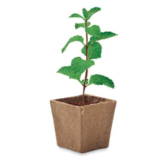 MINT KIT - Bilde 3