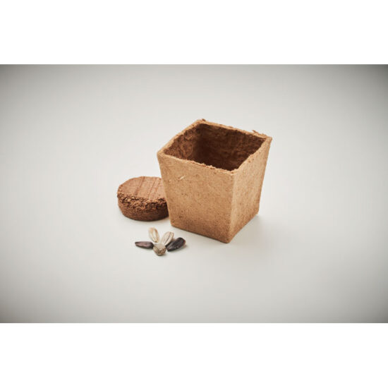 SUNFLOWER KIT - Bilde 6