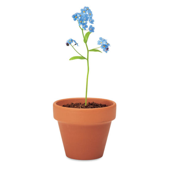 FORGET ME NOT - Bilde 5