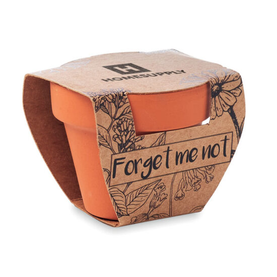 FORGET ME NOT - Bilde 4