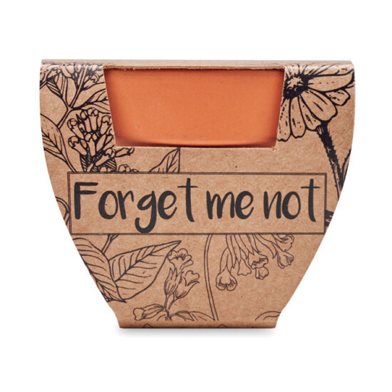 FORGET ME NOT - Bilde 2