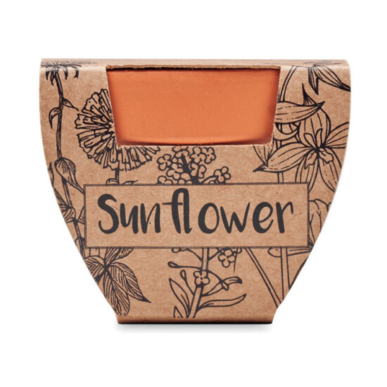 SUNFLOWER - Bilde 2