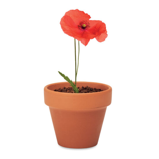 RED POPPY - Bilde 4