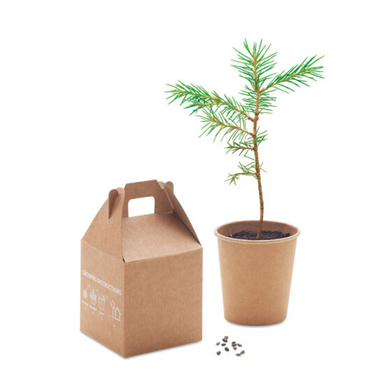 GROWTREE™ - Bilde 3