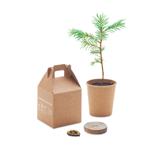 GROWTREE™ - Bilde 4