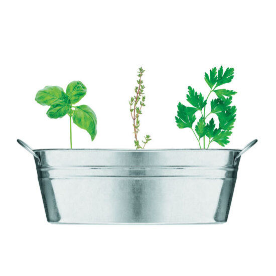 MIX SEEDS - Bilde 2