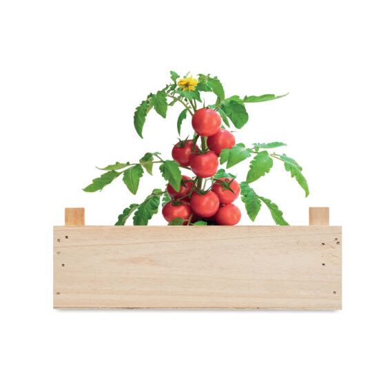 TOMATO - Bilde 4