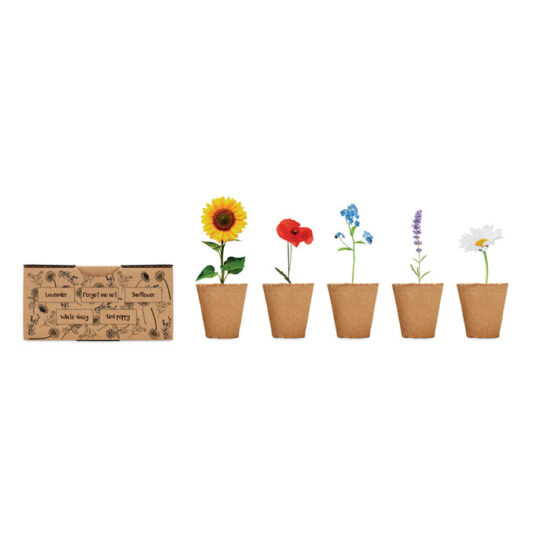 FLOWERS - Bilde 4