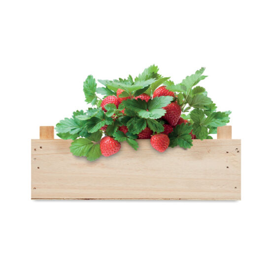 STRAWBERRY - Bilde 4