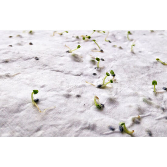 ASIDE - Bilde 4