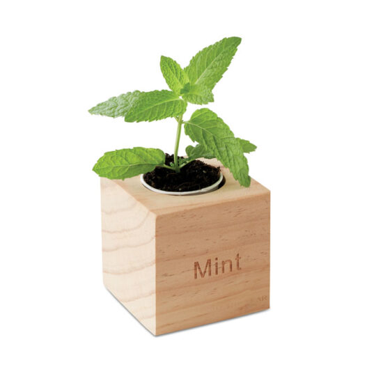 MENTA - Bilde 3